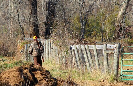 Camouflage hunt gun photo