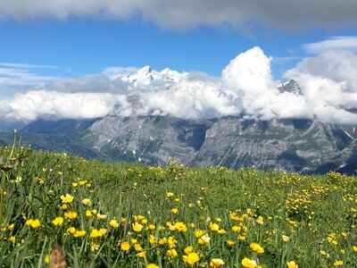 View of the Mont Blanc massif and Chamonix photo