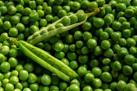 Garden Peas Background photo
