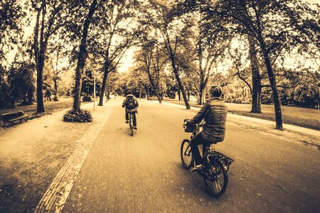 Bench bicycle recreation