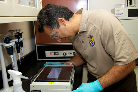 Service scientist conducts ELISA tests-3