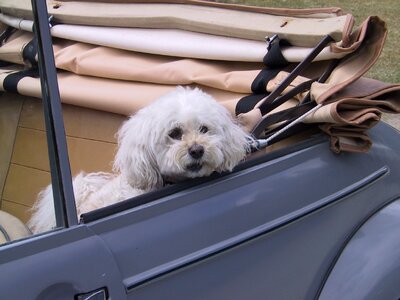 Auto convertible oldtimer