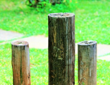 Wooden dry weathered