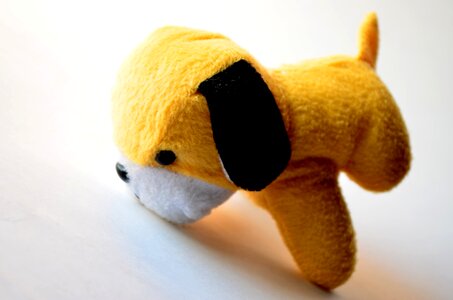 Yellow Dog Cute photo