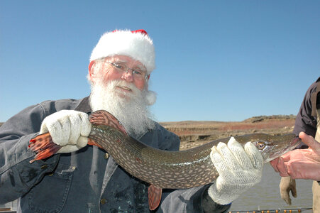 Santa holds a Northern pike
