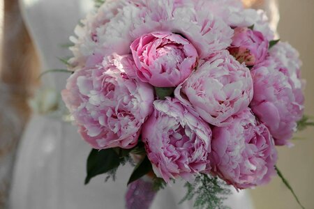 Wedding Bouquet roses pinkish photo
