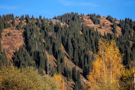 Journey blue sky nature photo