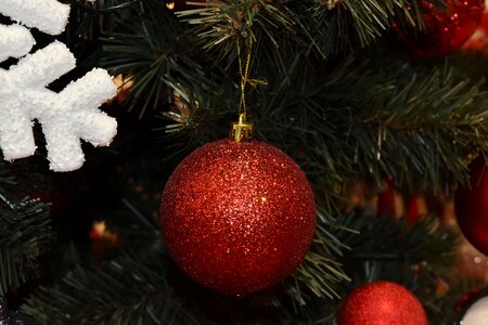 Christmas Tree ornament red photo