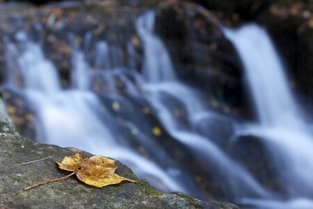 Fall water landscape