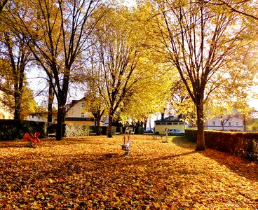 Play golden autumn