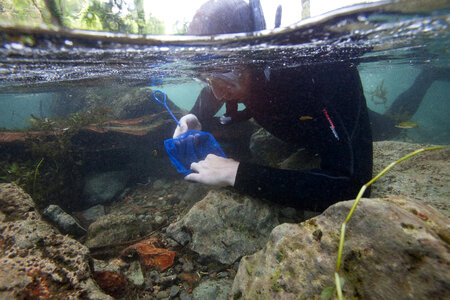 Divers search San Marcos River-2
