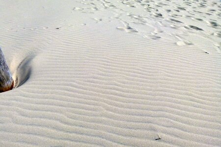 Tracks dune sandy