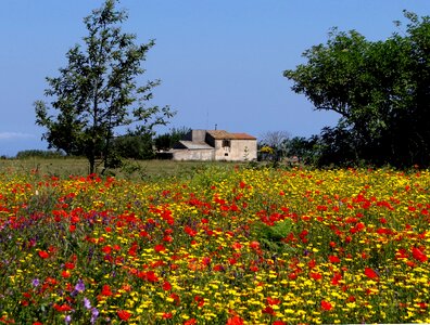 Colorful calabria summer