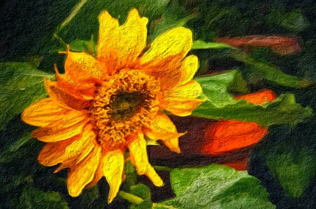 Fine Arts oil painting flower