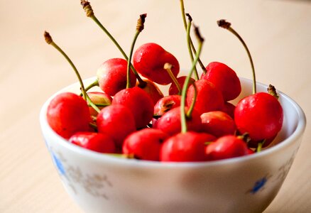 Agriculture beautiful photo bowl