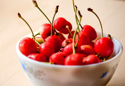 Agriculture beautiful photo bowl photo