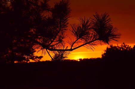Dusk and sunset in the landscape