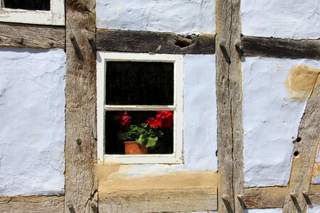 Fachwerkhaus window flower photo