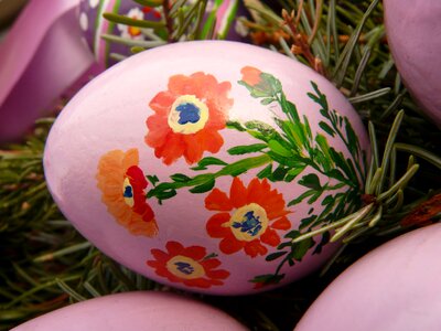 Easter egg painting easter eggs egg