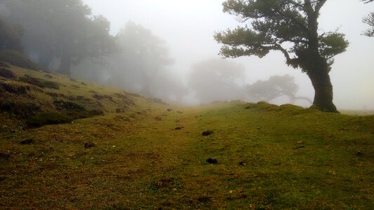 Fog photo