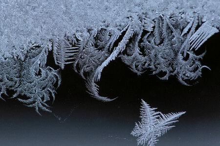 Macro Frost Window photo