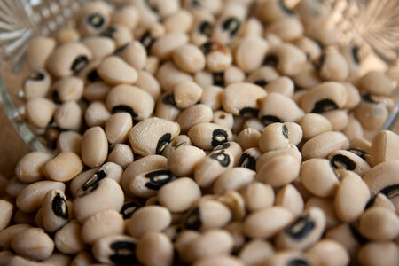Kidney Beans
