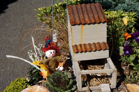 Halloween scarecrow photo