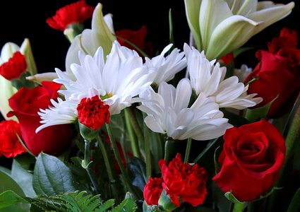 Arrangement beautiful flowers beautiful image