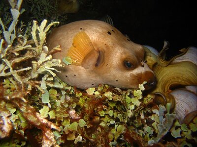 Ocean water cute