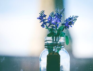 Aromatherapy Flower Jar photo