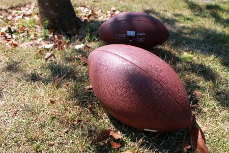 Sport pig skin ball