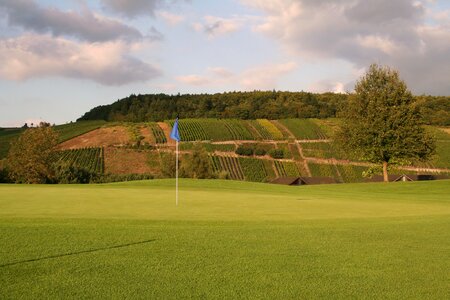 Flag hole golf club