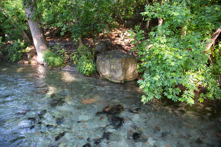 Comal Springs