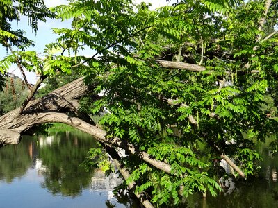 Natural lake landscape