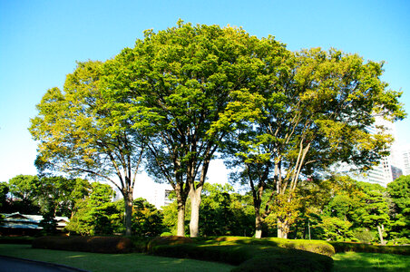 24 Imperial Palace
