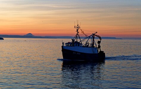 Harbor dusk catch