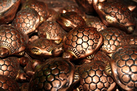 Feng Shui Tortoises photo