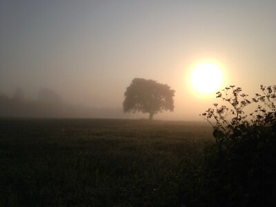Mood foggy sunrise photo