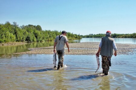 Fishing wildlife river photo