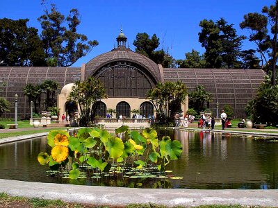 Botanic botanical flower garden