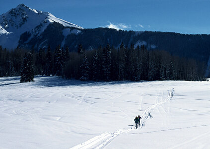A group of cross country skiers