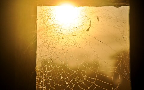Sunlight back light frame