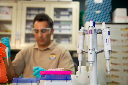 Service scientist conducts ELISA tests-3