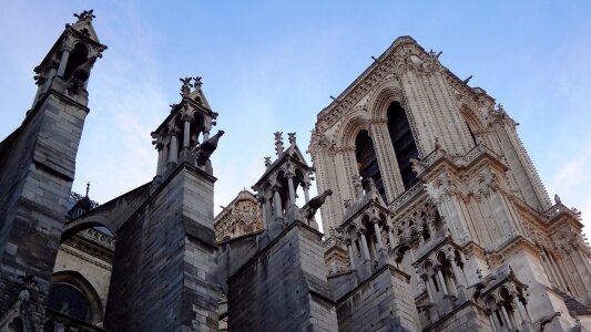 Gargoyles cathedral paris photo