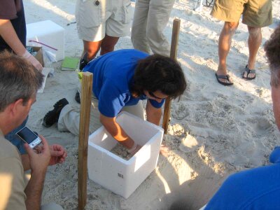 Biologist egg sand