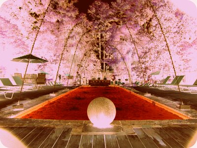 Orange outdoor introverted