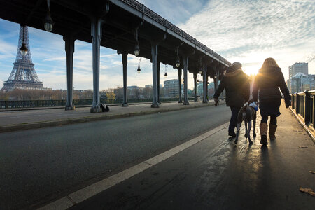 Eiffel Tower and Bir Hakeim Bridge in Paris, Couple Walking with Dog photo