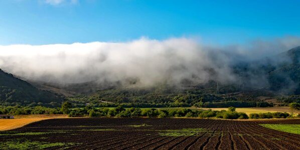 Agriculture architecture cloud