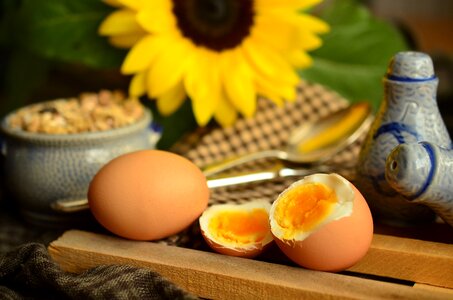 Breakfast egg breakfast yellow photo