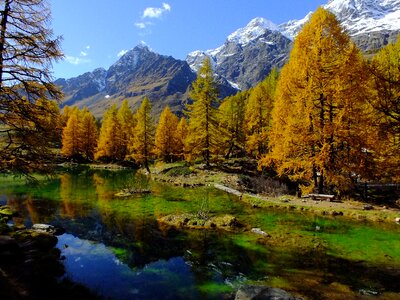 Lake mirror reflect